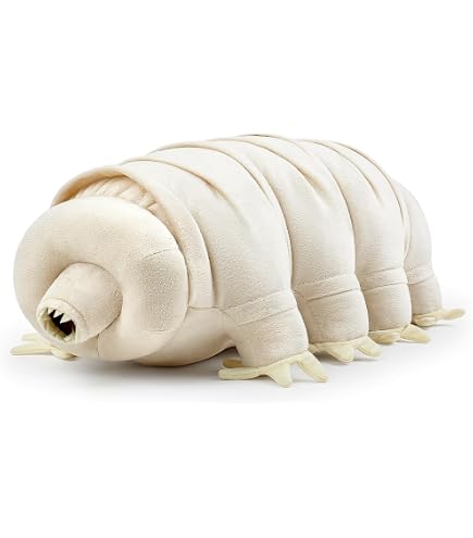 Amazon.co.jp: 古代生物シリーズ アノマロカリス ぬいぐるみL 5640B